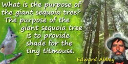Edward Abbey quote: What is the purpose of the giant sequoia tree? The purpose of the giant sequoia tree is to provide shade for
