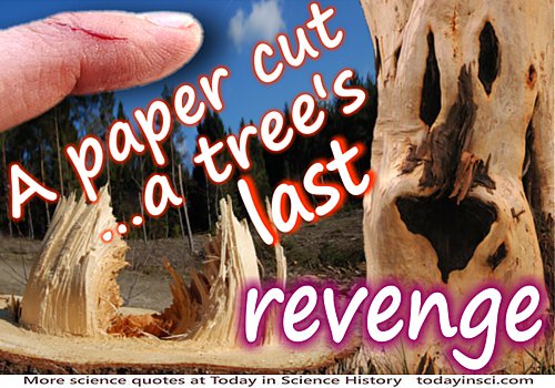  Anonymous quote A Paper Cut… A Tree's Last Revenge