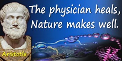 Aristotle quote: The physician heals, Nature makes well