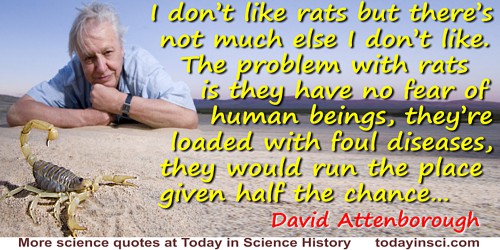 David Attenborough quote: I don’t like rats but there’s not much else I don’t like. The problem with rats is they have no fear o