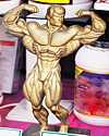 Thumbnail of bodybuilder trophy in front of pill bottles. Photo by clarita.