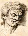 Etching of face expressing hatred or jealousy after Charles Le Brun.