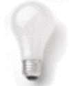 Thumbnail - Inside-frosted light bulb