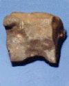Thumbnail - Murchison meteorite