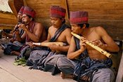 Indonesian musicians