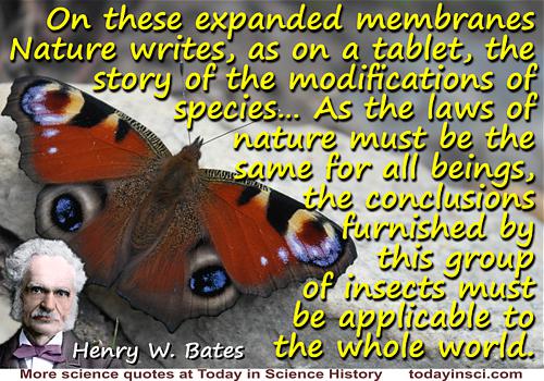 H. W. Bates quote “On these expanded membranes Nature writes, as on a tablet”