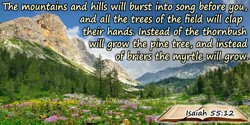  Bible quote: The mountains and hills will burst into song before you, and all the trees of the field will clap their hands.