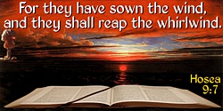 Bible quote: For they have sown the wind, and they shall reap the whirlwind.