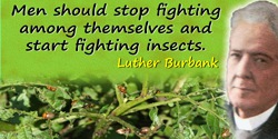 Luther Burbank quote: Men should stop fighting among themselves and start fighting insects.