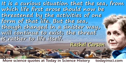 Rachel Carson quote: It is a curious situation that the sea, from which life first arose should now be threatened by the activit