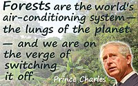 Deforestation quote Prince Charles “Forests are the world's air conditioning…on the verge of switching it off” Rainforest photo