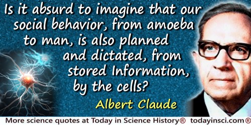 Albert Claude quote: Is it absurd to imagine that our social behavior, from amoeba to man, is also planned and dictated, from st