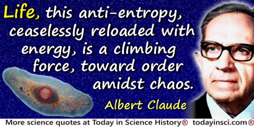 Albert Claude quote: Life, this anti-entropy, ceaselessly reloaded with energy, is a climbing force