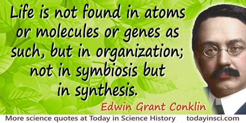 Edwin Grant Conklin quote: Life is not found in atoms or molecules or genes as such, but in organization; not in symbiosis but i