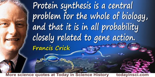 Francis Crick quote: Protein synthesis is a central problem for the whole of biology, and that it is in all probability closely 