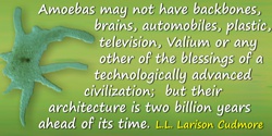 L.L. Larison Cudmore quote: Ah, the architecture of this world. Amoebas may not have backbones, brains, automobiles, plastic, te