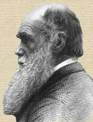 Charles Darwin quote: Whenever I have found that I have blundered, or  that