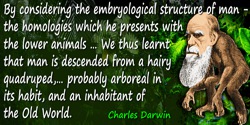 Charles Darwin quote: By considering the embryological structure of man - the homologies which he presents with the lower animal