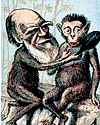 Thumbnail of 1874 London Sketchbook caricature of Darwin as an ape holding a hand mirror in front of the face of a monkey