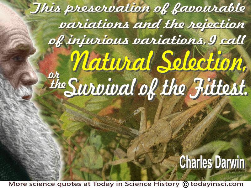 What is Natural Selection (and why it is not 'survival of the fittest')?