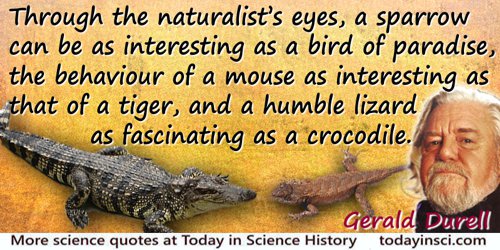 Gerald Malcolm Durrell quote: Through the naturalists eyes, a  sparrow can be as interesting as a bird of paradise, the behaviou