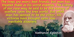 Nathaniel H. Egleston quote: The trees are man’s best friends; but man has treated them as his worst enemies. The history of our