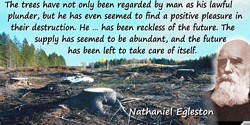 Nathaniel H. Egleston quote: The trees have not only been regarded by man as his lawful plunder, but he has even seemed to find 