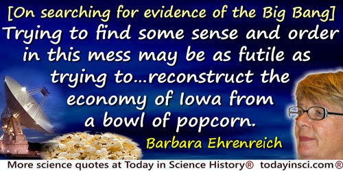 Barbara Ehrenreich quote: Trying to find some sense and order in this mess may be as futile as trying to