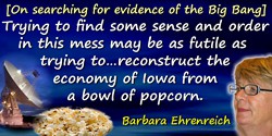 Barbara Ehrenreich quote: Trying to find some sense and order in this mess may be as futile as trying to