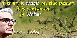 Loren Eiseley quote: If there is magic on this planet, it is contained in Water.
