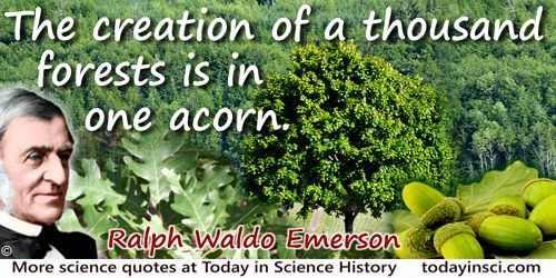 Ralph Waldo Emerson quote: The creation of a thousand forests is in one acorn.