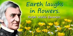 Ralph Waldo Emerson quote: Earth laughs in flowers.