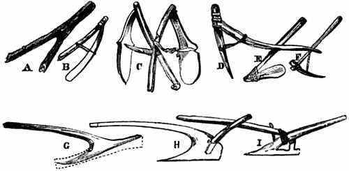 Drawings of ancient hoes and early plow