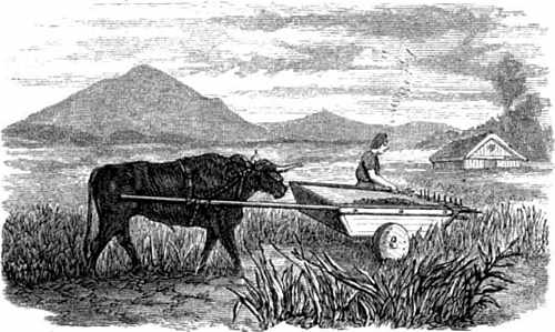 Drawing of Fowler's steam-plow plowing across the field from side to side using ropes powered by a steam engine at one side