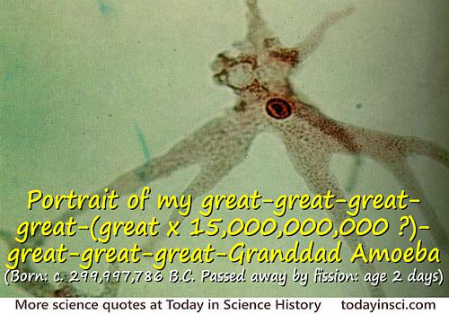 Illustrated quote for my great-(great x 15,000,000,000)-great-Granddad Amoeba on background microphoto of amoeba and pseudopodia