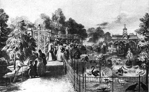 Sketch of Waterfowl Lawn at the London Zoo in 1830