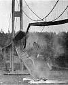 Thumbnail - Tacoma Narrows Bridge collapse