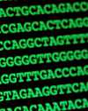 Lines from a computer screen showing DNA sequences such as GAGCACTCAGGA
