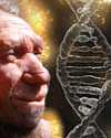 Thumbnail - Neanderthal origins