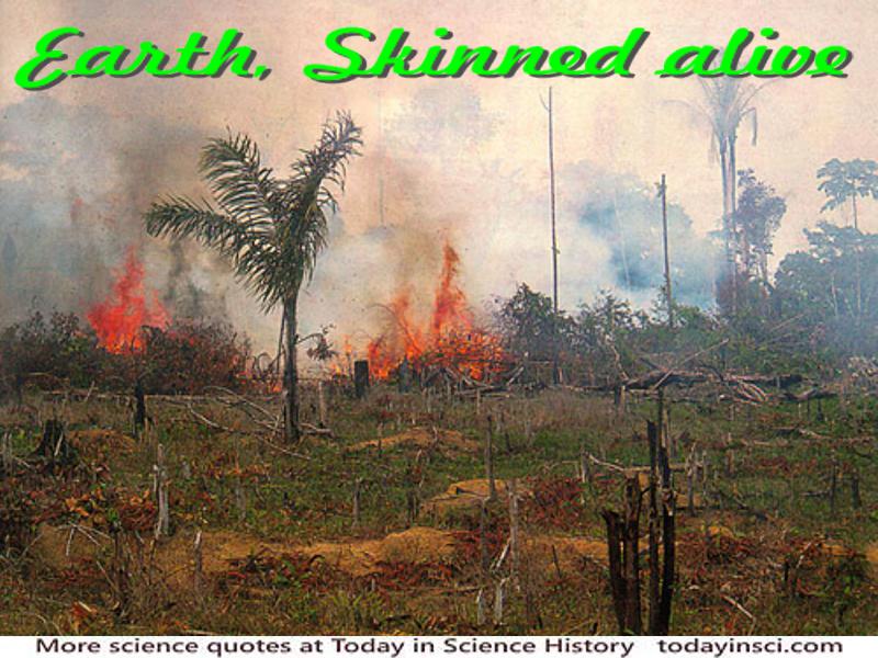 Deforestation photo of burning brush and timber on the ground + quote caption “Earth skinned alive”
