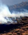 Thumbnail photo of forest fire