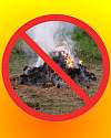 Thumbnail - New York State open-burning ban