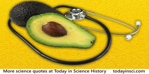 Avocado, sliced in halves, resting on a stethoscope