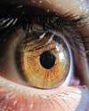 Thumbnail closeup of human eye. Credit: beni195bb