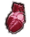 Thumbnail - Heart pacemaker