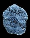 Thumbnail - Chondrite meteor