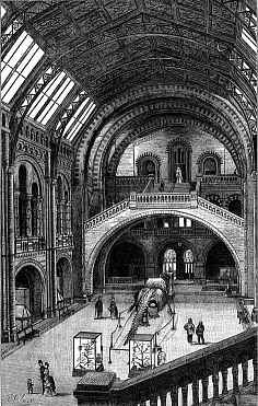 Engraving - Central Hall, British Museum