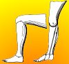 Thumbnail - Artificial leg