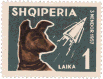 Albanian postage stamp showing Laika (1962)