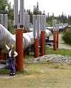 Thumbnail - Trans-Alaska pipeline